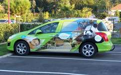 Voiture du Zoo de Beauval - France