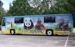 Bus du Zoo de Beauval - France