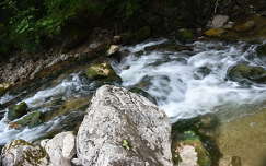 kövek és sziklák patak