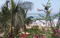 Plage de Cap Skirring - Sénégal
