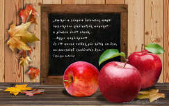 grafika, alma, ősz