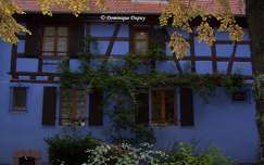 Maison bleue - Ribeauvillé - Alsace