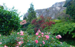 Szikla, rózsa, Veszprémi Benedek hegy.
