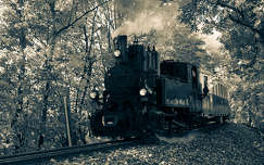 sínpár címlapfotó mozdony vonat