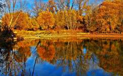 ősz címlapfotó tükröződés tó