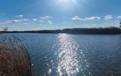 Holt Tisza