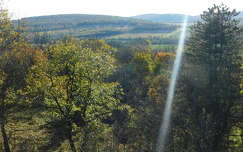 Csengő tető - Olaszfalu (erdő, fény, ősz)