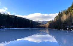 tó erdő címlapfotó tükröződés tél