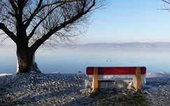 balaton fa tó tél címlapfotó pad jég jégcsap magyarország