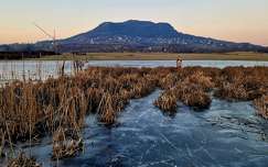 jég magyarország tó balaton tél hegy nád