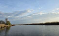 Holt Tisza