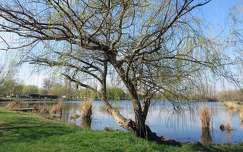 székesfehérvár tó magyarország