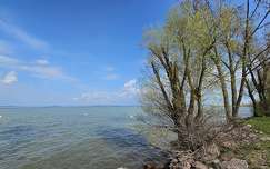 tavasz balaton tó magyarország