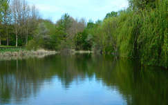 Pákozdi Pagony területén található tó.
