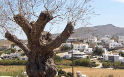 Mykonos,Görögország