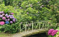 Parc Floral
