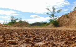 Eső után
