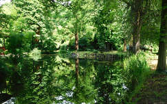 Szombathely, Kámoni arborétum, tükröződés