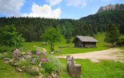 Szlovénia