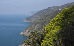 Cinque Terre, Olaszország