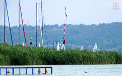 balaton, nádas, víz, árbóc