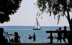 balaton, vitorlás, nyár