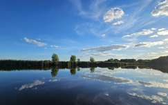 Holt Tisza