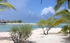 Tikehau (Tuamotu-szigetek)