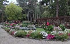 Siófok Jókai park
