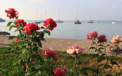 Balatonalmádi
