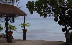 Fakarava (Tuamotu-szigetek)