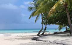 Tikehau (Tuamotu.szigetek)