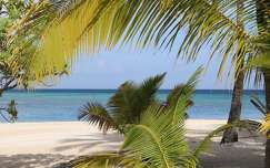 Tikehau (Tuamotu-szigetek)