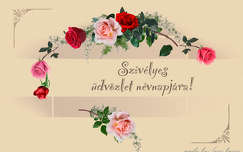 grafika