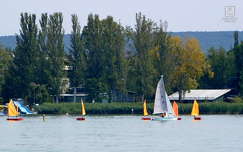 balaton, vitorlások
