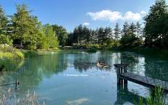 Sologne - France