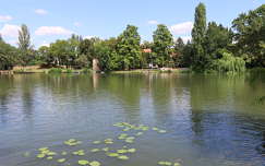 Szarvas