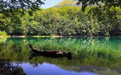 Biogradsko tó, Montenegró