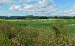 Tokaj