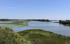 Tisza-tó.