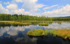 Chalupská láp, Sumava NP, Csehország