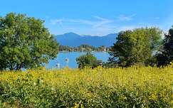 Chiemsee