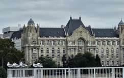 budapest magyarország vizimadár sirály