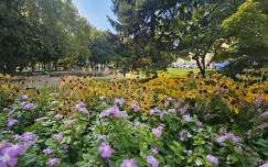Szeged Széchenyi tér