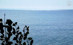 balaton, víz, csillogás