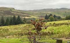 Lochwinnoch (Skócia)