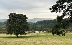 Lochwinnoch / Skócia
