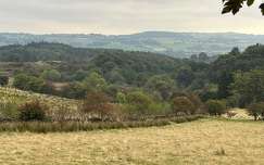 Lochwinnoch / Skócia