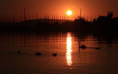 Balatonkenese