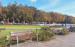 Balatonfüred